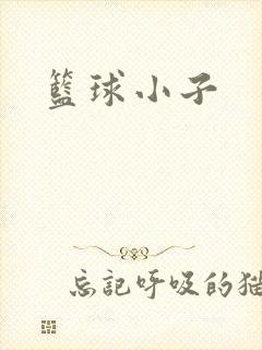 篮球小子