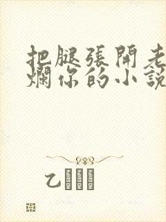 把腿张开老子臊烂你的小说