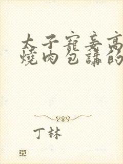 太子宠妾高肉红烧肉包讲的什么