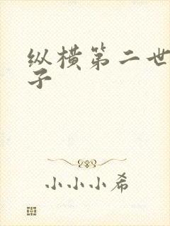 纵横第二世界宽子