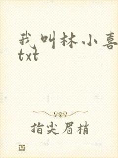我叫林小喜小说txt