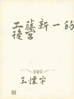 工藤新一的日本后宫