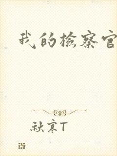 我的检察官先生