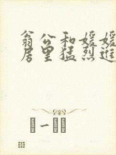 翁公和媛媛在厨房里猛烈进出