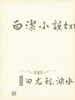 白洁小说txt