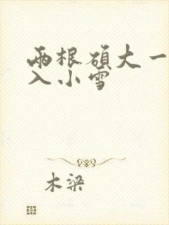 两根硕大一起挤入小雪