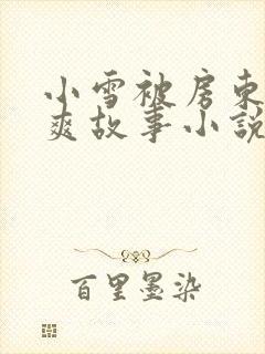 小雪被房东的好爽故事小说