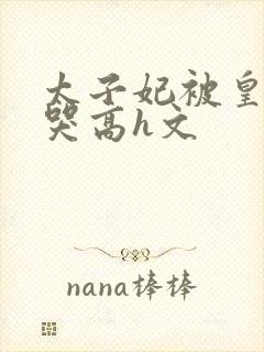 太子妃被皇上c哭高h文