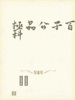 极品公子百度百科