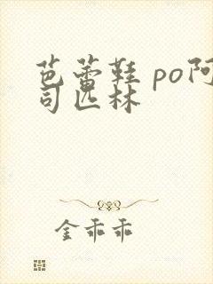 芭蕾鞋 po阿司匹林