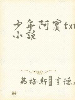 少年阿宾txt小说
