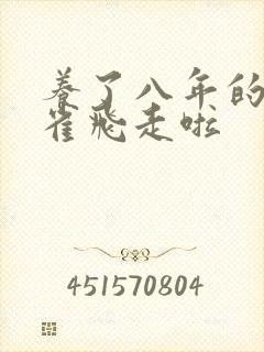 养了八年的金丝雀飞走啦