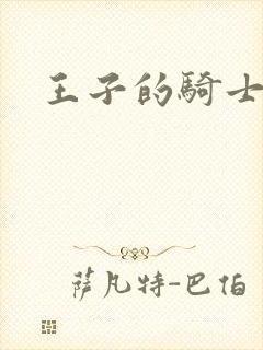 王子的骑士小说