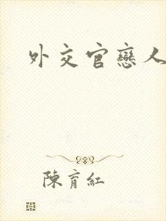 外交官恋人小说
