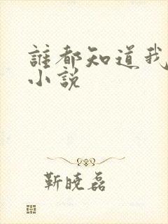 谁都知道我爱你小说