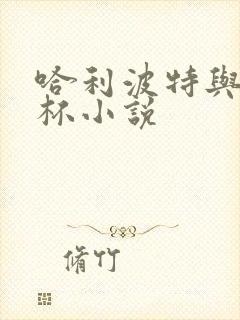 哈利波特与火焰杯小说