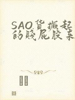 SAO货撅起你的贱屁股来