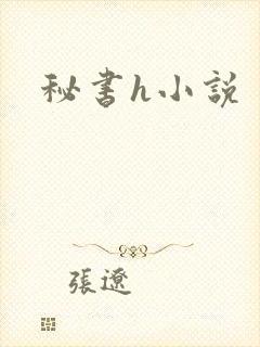 秘书h小说