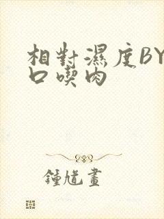 相对湿度BY大口吃肉