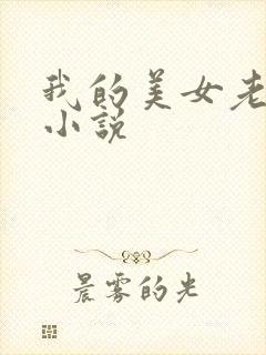 我的美女老板 小说