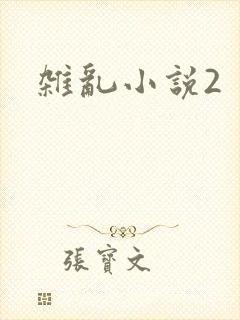 杂乱小说2