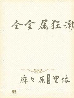 全金属狂潮小说