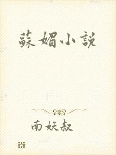 苏媚小说