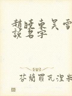 赵晓东吴雪晴小说名字