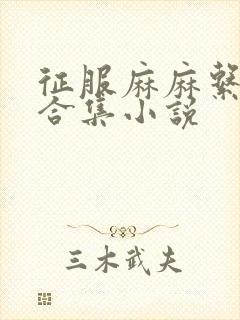 征服麻麻系列大合集小说