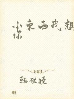 小东西我想弄坏你