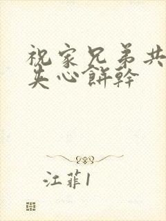 祝家兄弟共享后夹心饼干