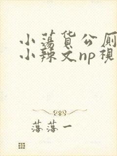 小荡货公厕h文小辣文np视频