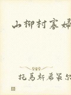 山柳村寡妇情史
