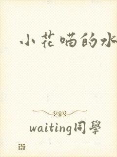 小花喵的水蜜桃