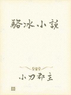 骆冰小说