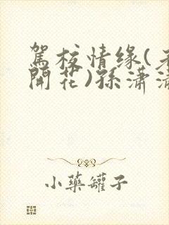 驾校情缘(老树开花)孙潇潇笔趣阁