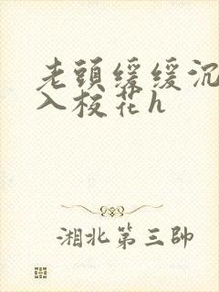 老头缓缓沉腰进入校花h