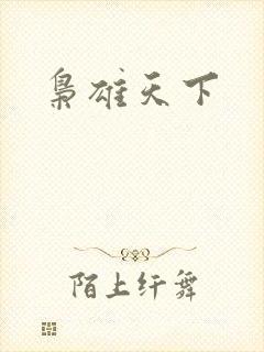 枭雄天下