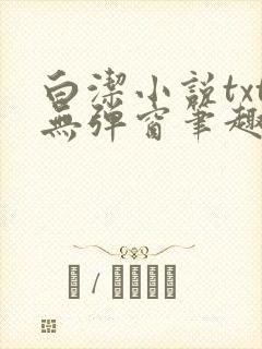 白洁小说txt无弹窗笔趣阁