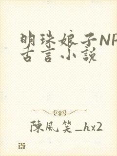 明珠娘子NPC古言小说