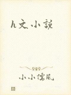 h文小说
