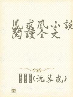 凤求凰小说免费阅读全文