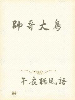 帅哥大鸟