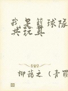 我是篮球队的公共玩具