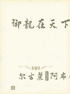 御龙在天下载
