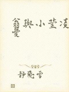 翁与小莹凌晨欢爱