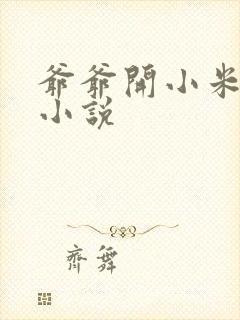 爷爷开小米的包小说