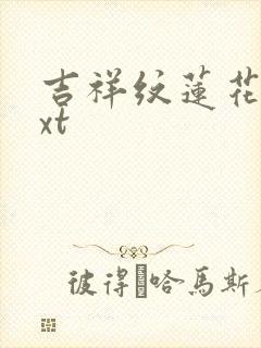 吉祥纹莲花楼txt