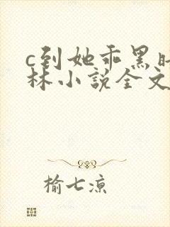 c到她乖黑暗森林小说全文阅读