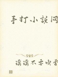 手打小说网